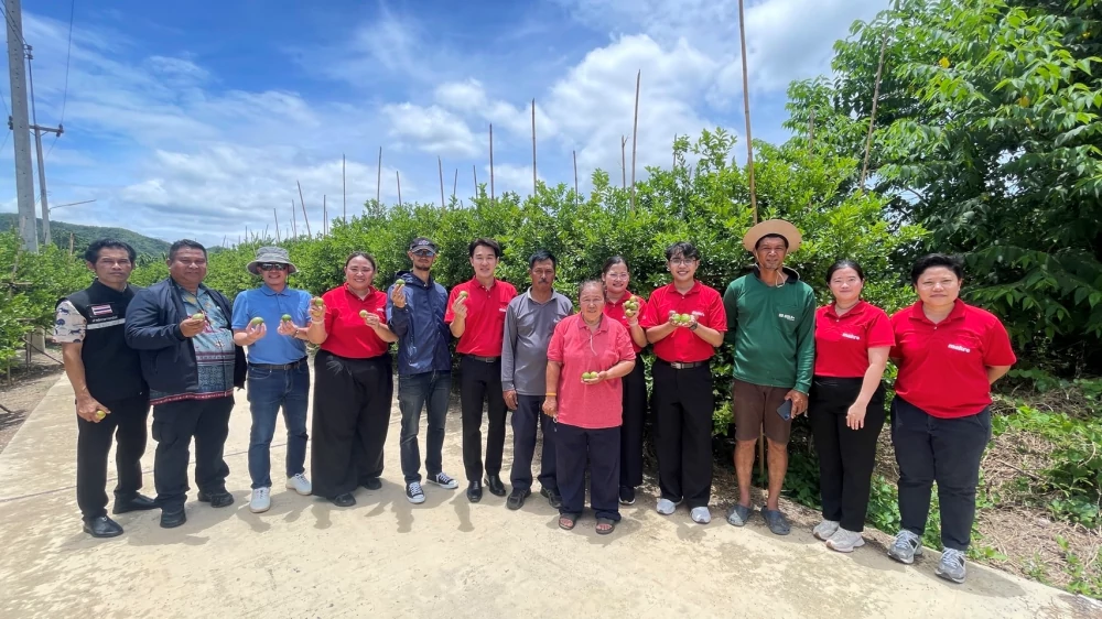 CP AXTRA Joins Forces with Partners to Support Lime Farmers Purchasing surplus limes and distributing to over 2,600 Makro and Lotus’s branches nationwide