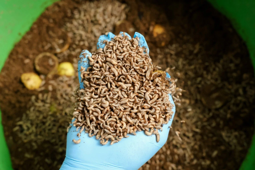 ซีพี แอ็กซ์ตร้า ยกระดับโมเดล “ลดทิ้ง สร้างค่า AXTRA Zero Waste” จัดการอาหารส่วนเกินครบวงจร ตั้งแต่ต้นน้ำถึงปลายน้ำ พร้อมสร้างเศรษฐกิจหมุนเวียน